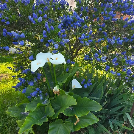 Maison Spacieuse A Floirac Avec Jardin Et Terrasse *
